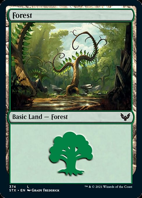 Forest (374) (Strixhaven) Near Mint