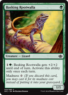 Basking Rootwalla (Duel Decks Anthology: Garruk vs Liliana) Near Mint