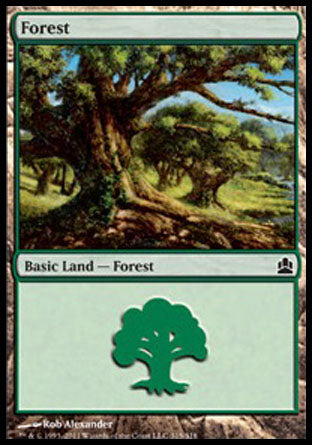 Forest (315) (Commander) Near Mint