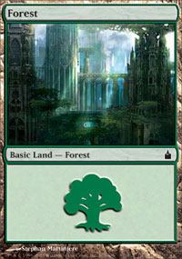 Forest (303) (Ravnica) Near Mint