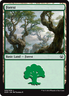 Forest (35) (Duel Decks: Nissa vs Ob Nixilis) Near Mint