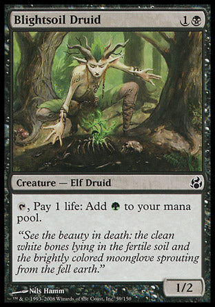 Blightsoil Druid (Morningtide) Near Mint Japanese
