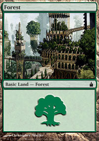 Forest (304) (Ravnica) Near Mint