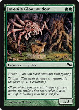 Juvenile Gloomwidow (Shadowmoor) Near Mint