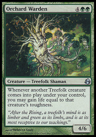 Orchard Warden (Morningtide) Near Mint