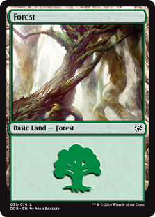 Forest (31) (Duel Decks: Nissa vs Ob Nixilis) Near Mint