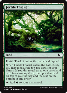 Fertile Thicket (Duel Decks: Nissa vs Ob Nixilis) Near Mint