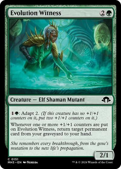 Evolution Witness (Modern Horizons 3) Near Mint