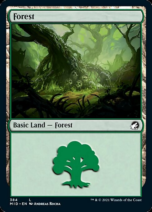 Forest (384) (Innistrad: Midnight Hunt) Near Mint Foil