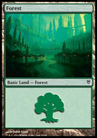 Forest (84) (Duel Decks: Jace vs Vraska) Near Mint