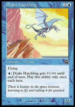 Drake Hatchling (Mercadian Masques) Near Mint Foil