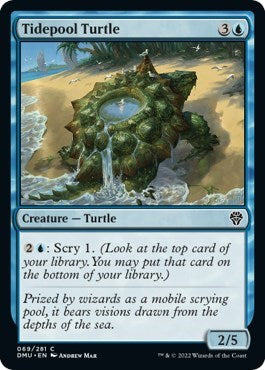 Tidepool Turtle (Dominaria United) Near Mint