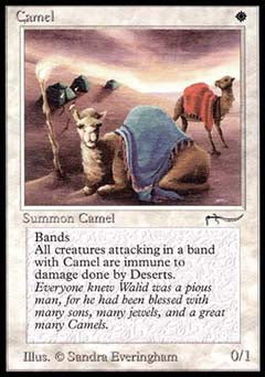 Camel (Arabian Nights) Light Play