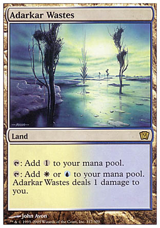 Adarkar Wastes (9th Edition) Near Mint Foil